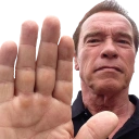 arnoldHalt