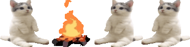 catsittingverycomfortablearoundacampfirewithitsfriends