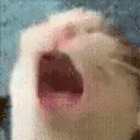 AAAA