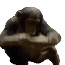 MODS