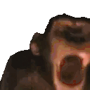 MONKE