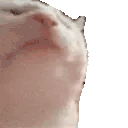 catJAM